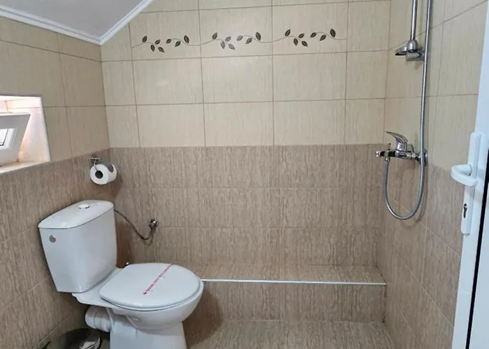 Guest Kostovi * Misivri